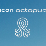 Corsican Octopus One