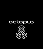 Corsican Octopus one